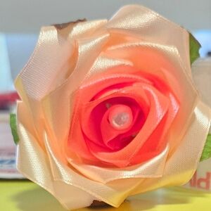 Flores eternas,Eternal flowers